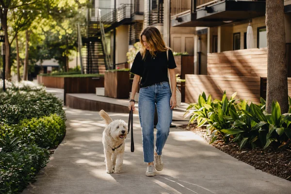 ESA & Service Animal Friendly. image 2