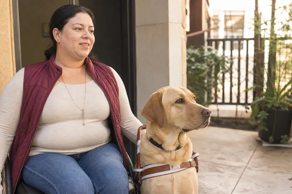 ESA & Service Animal Friendly. image 3